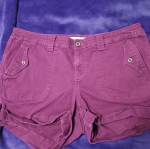 Torrid Shorts